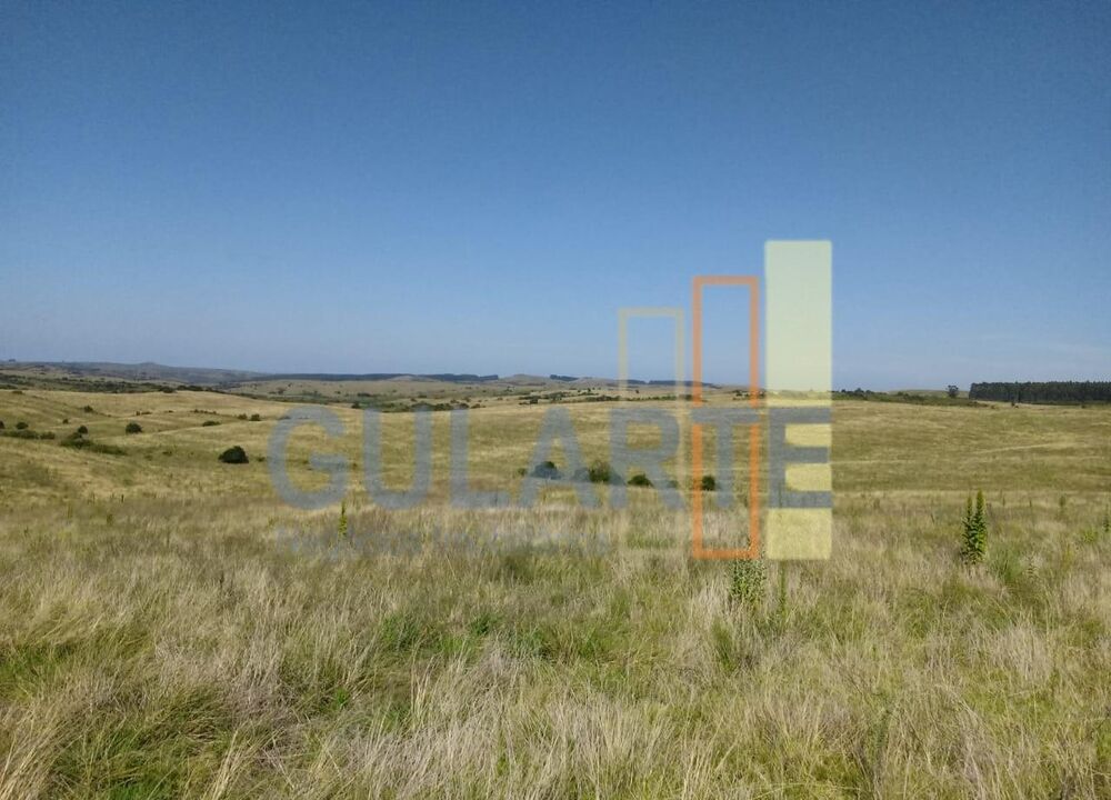 Fazenda à venda, 809m² - Foto 4