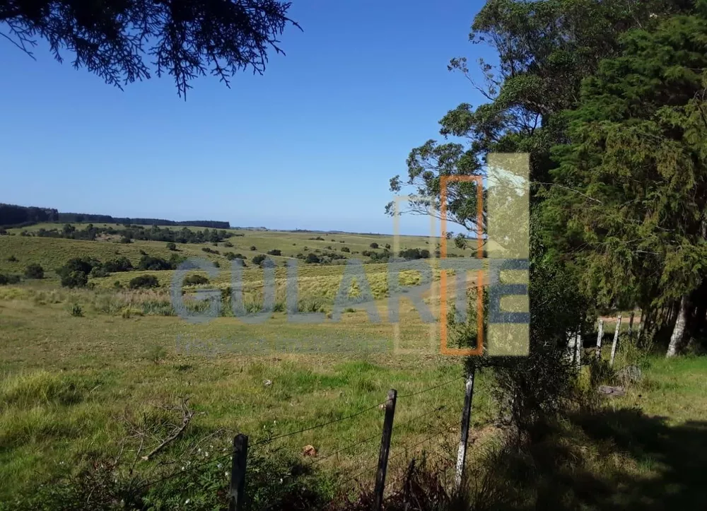 Fazenda, 809 hectares - Foto 6