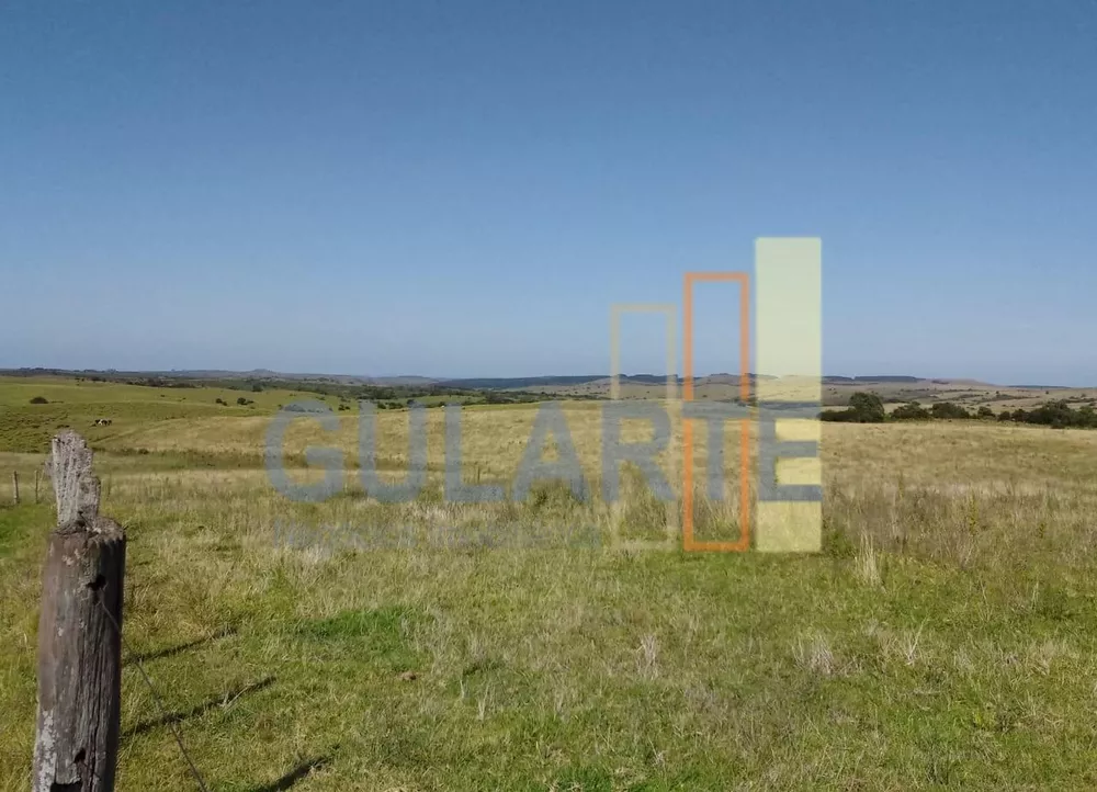 Fazenda, 809 hectares - Foto 2