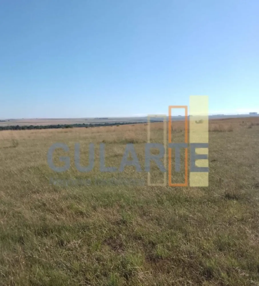 Fazenda, 458 hectares - Foto 5