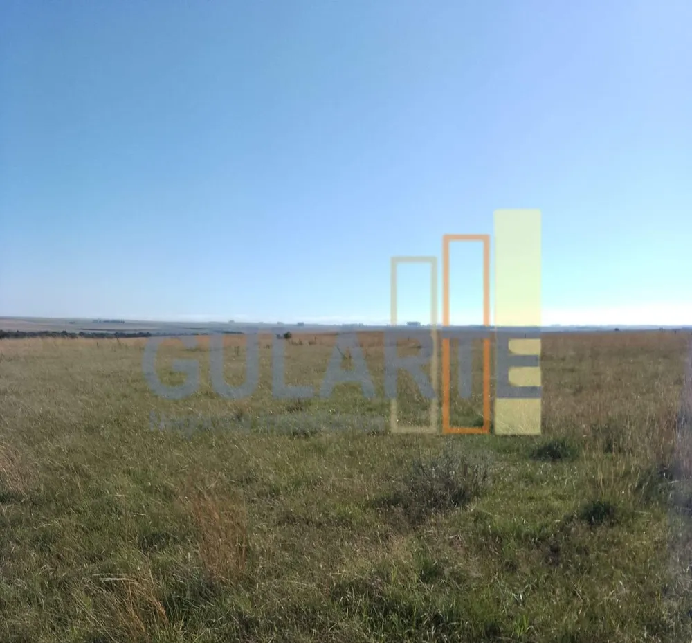 Fazenda, 458 hectares - Foto 6