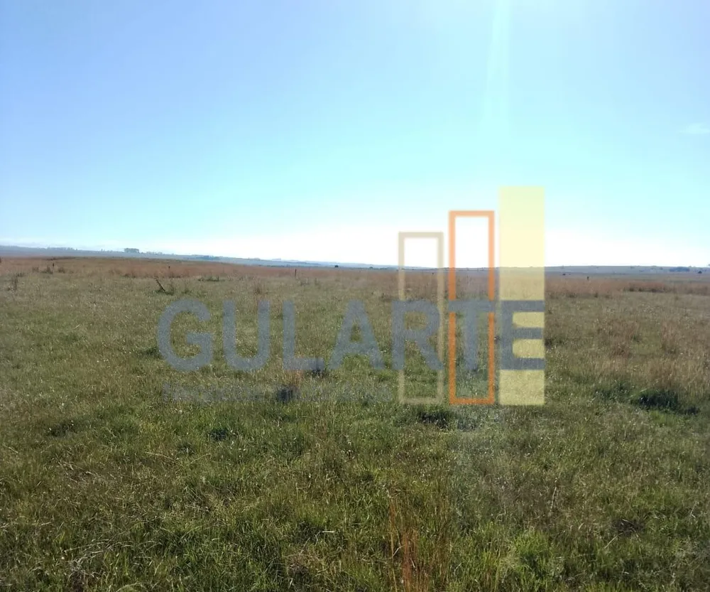 Fazenda, 458 hectares - Foto 4