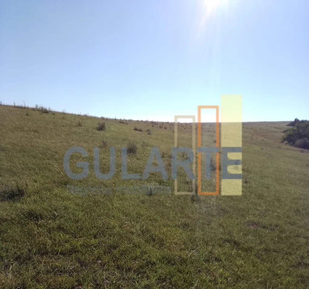 Fazenda, 458 hectares - Foto 2