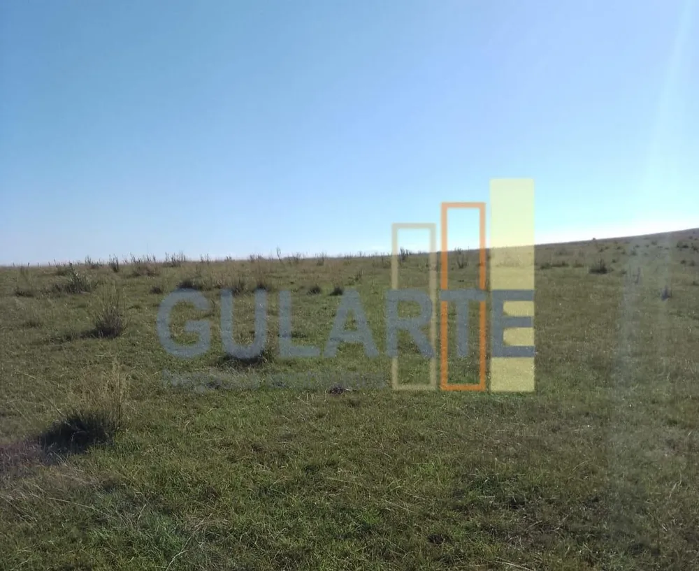 Fazenda, 458 hectares - Foto 7