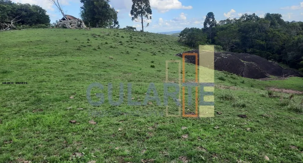 Fazenda, 814 hectares - Foto 7