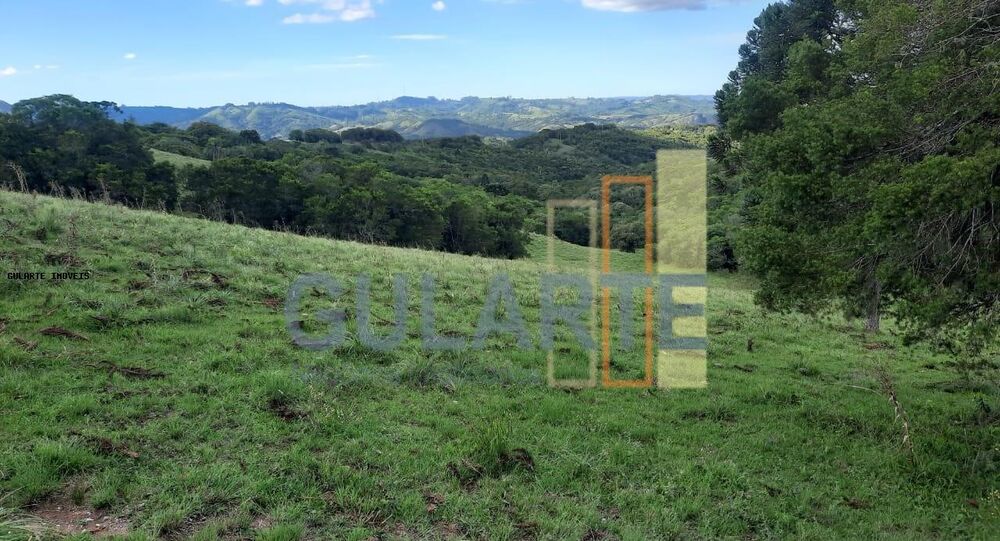 Fazenda, 814 hectares - Foto 2