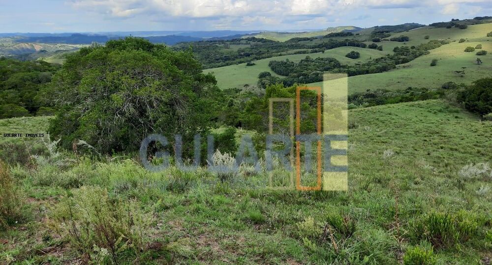 Fazenda, 814 hectares - Foto 7