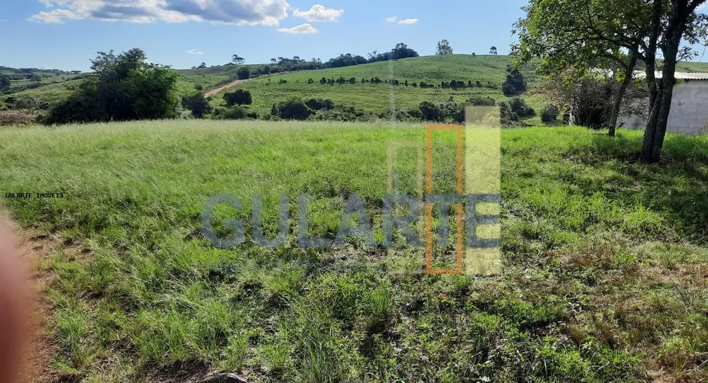 Fazenda, 814 hectares - Foto 3