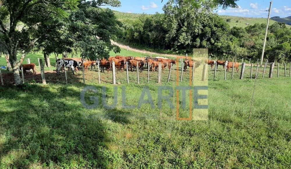Fazenda, 814 hectares - Foto 1