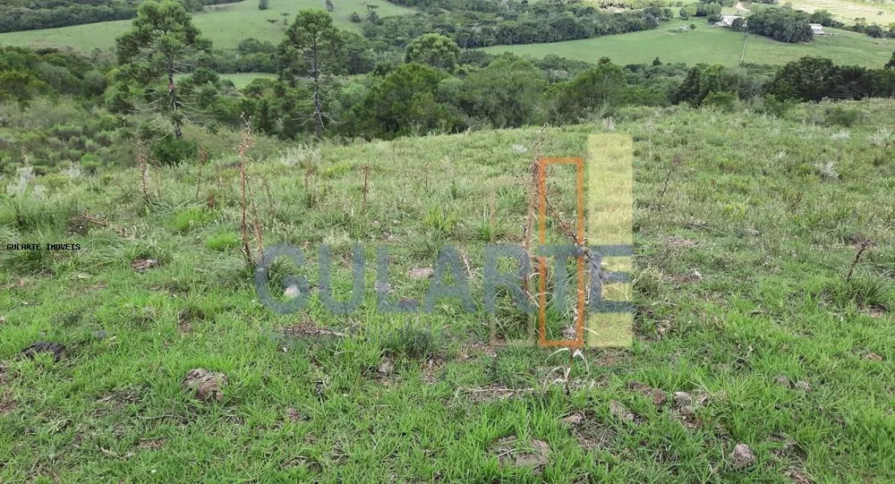 Fazenda, 814 hectares - Foto 6