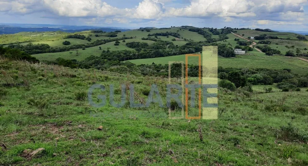 Fazenda, 814 hectares - Foto 6