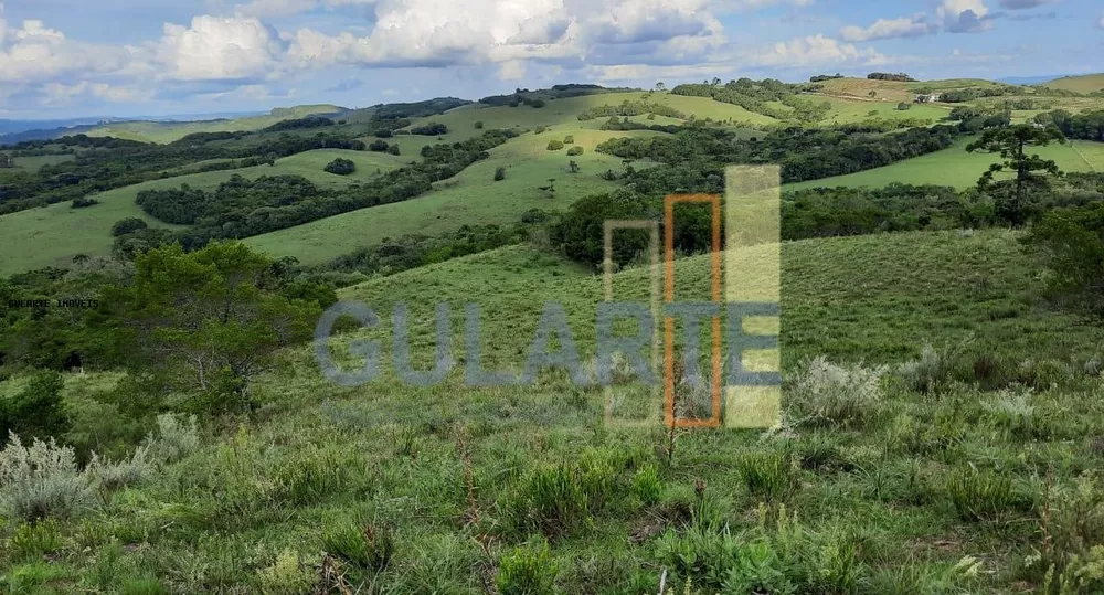 Fazenda, 814 hectares - Foto 4