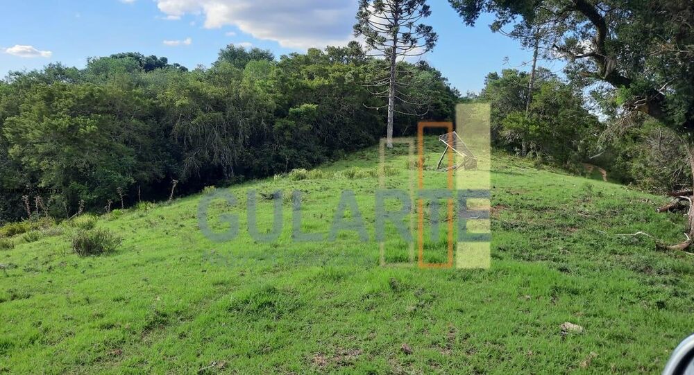 Fazenda, 814 hectares - Foto 5