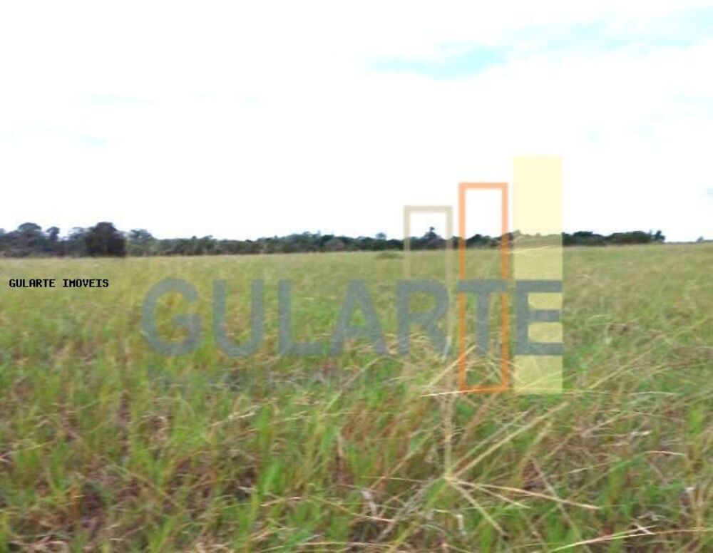 Fazenda-Sítio-Chácara, 442 hectares - Foto 1