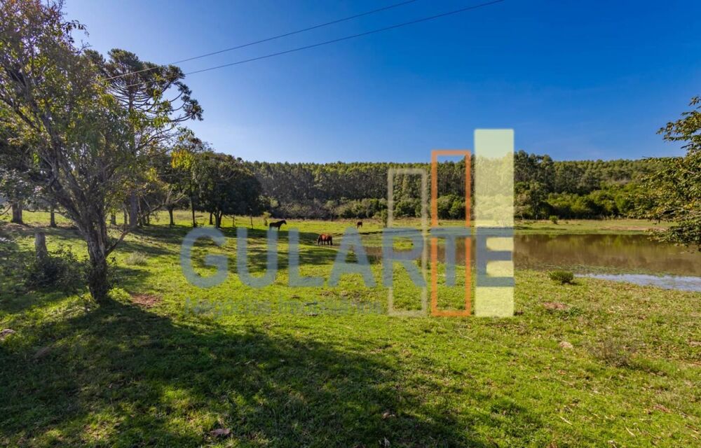 Fazenda, 18 hectares - Foto 6
