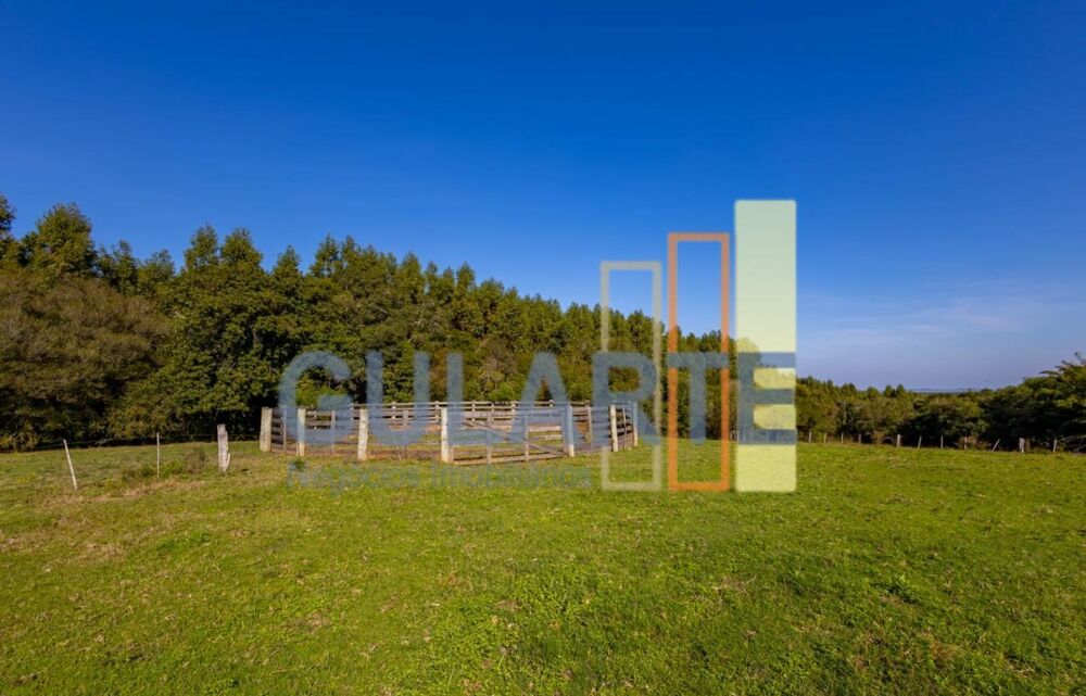 Fazenda, 18 hectares - Foto 1
