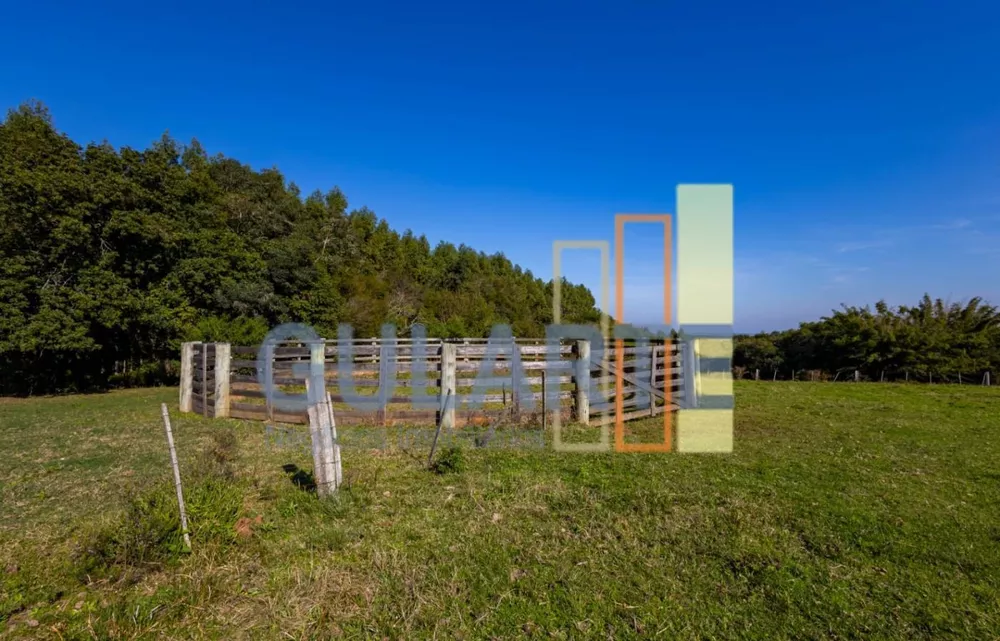 Fazenda, 18 hectares - Foto 4
