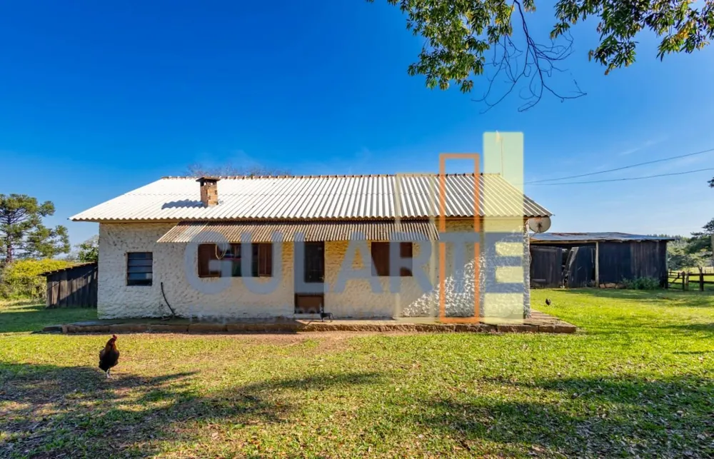 Fazenda, 18 hectares - Foto 4