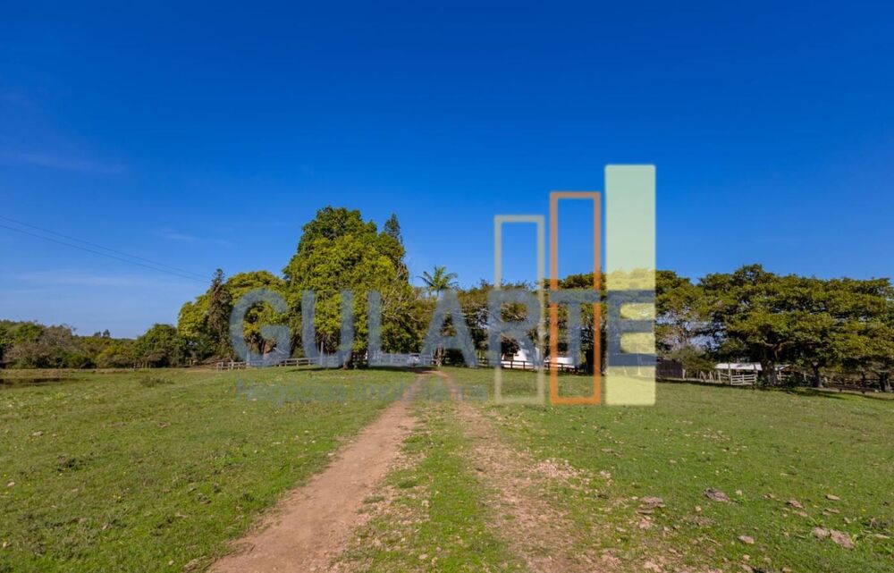 Fazenda, 18 hectares - Foto 7