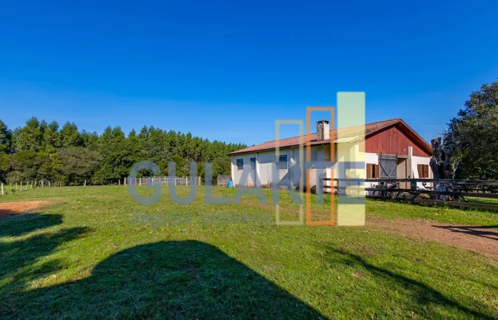 Fazenda, 18 hectares - Foto 12