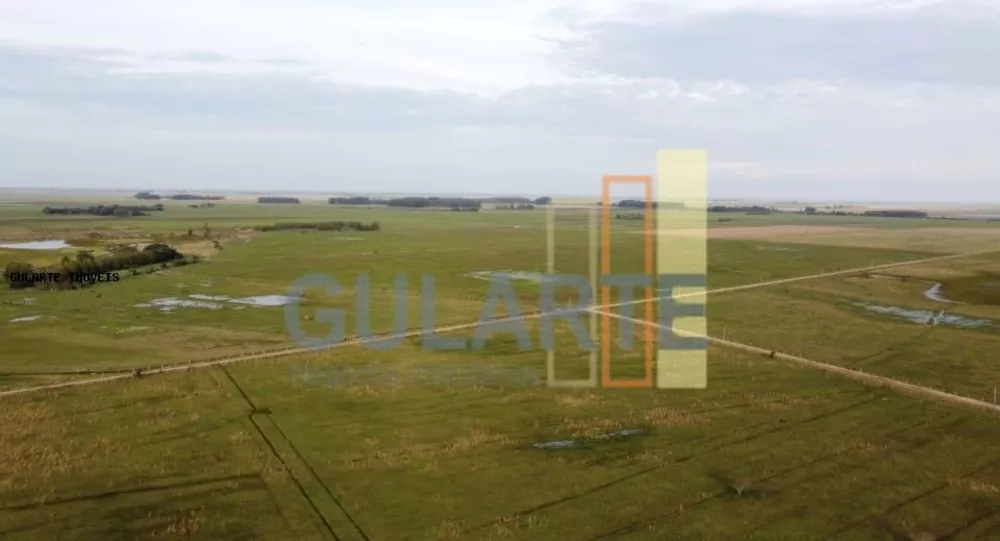 Fazenda, 310 hectares - Foto 6