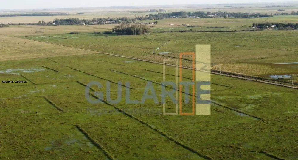 Fazenda, 310 hectares - Foto 5