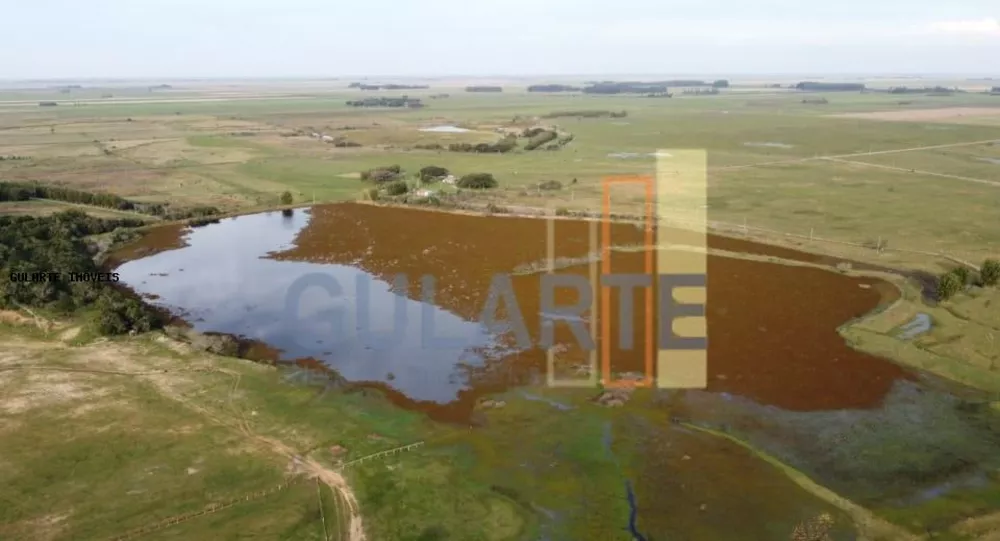 Fazenda, 310 hectares - Foto 7