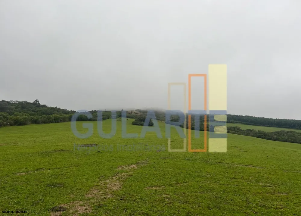Fazenda, 910 hectares - Foto 2