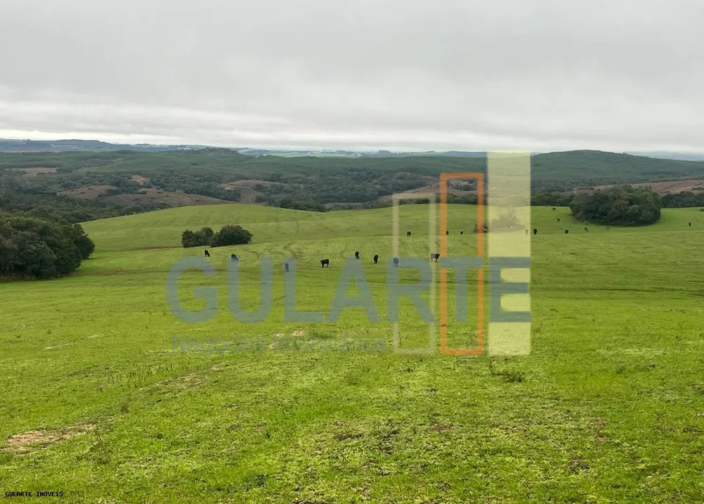 Fazenda, 910 hectares - Foto 2
