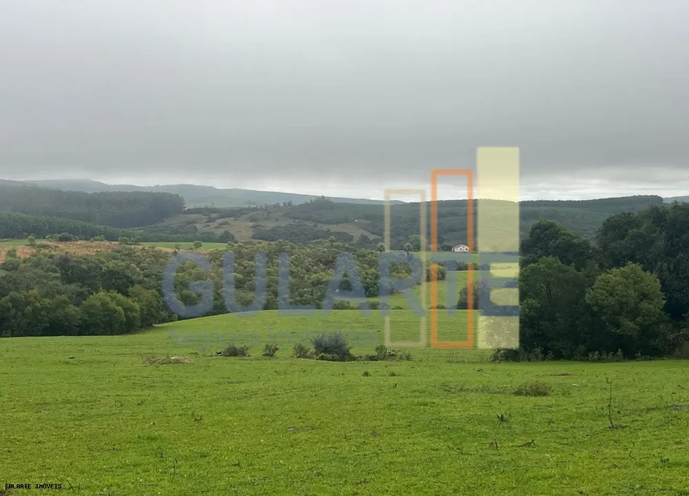 Fazenda, 910 hectares - Foto 1