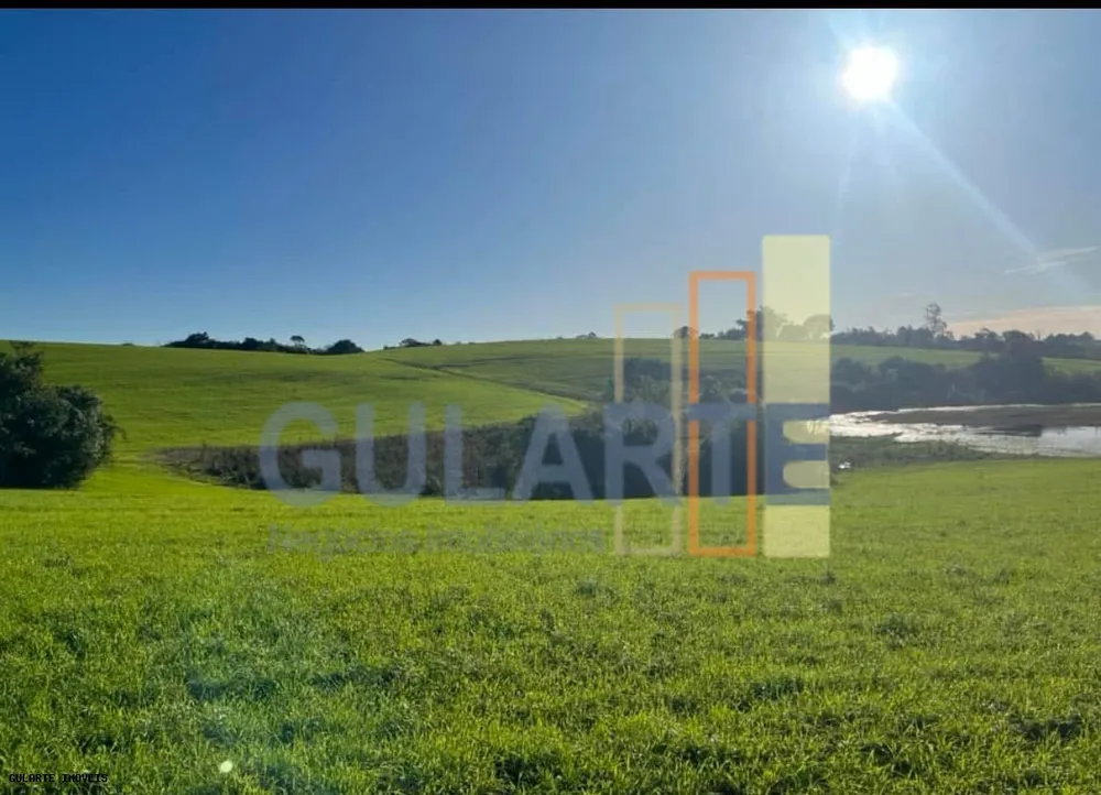 Fazenda, 910 hectares - Foto 3