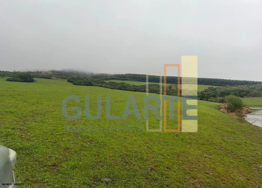 Fazenda, 910 hectares - Foto 1