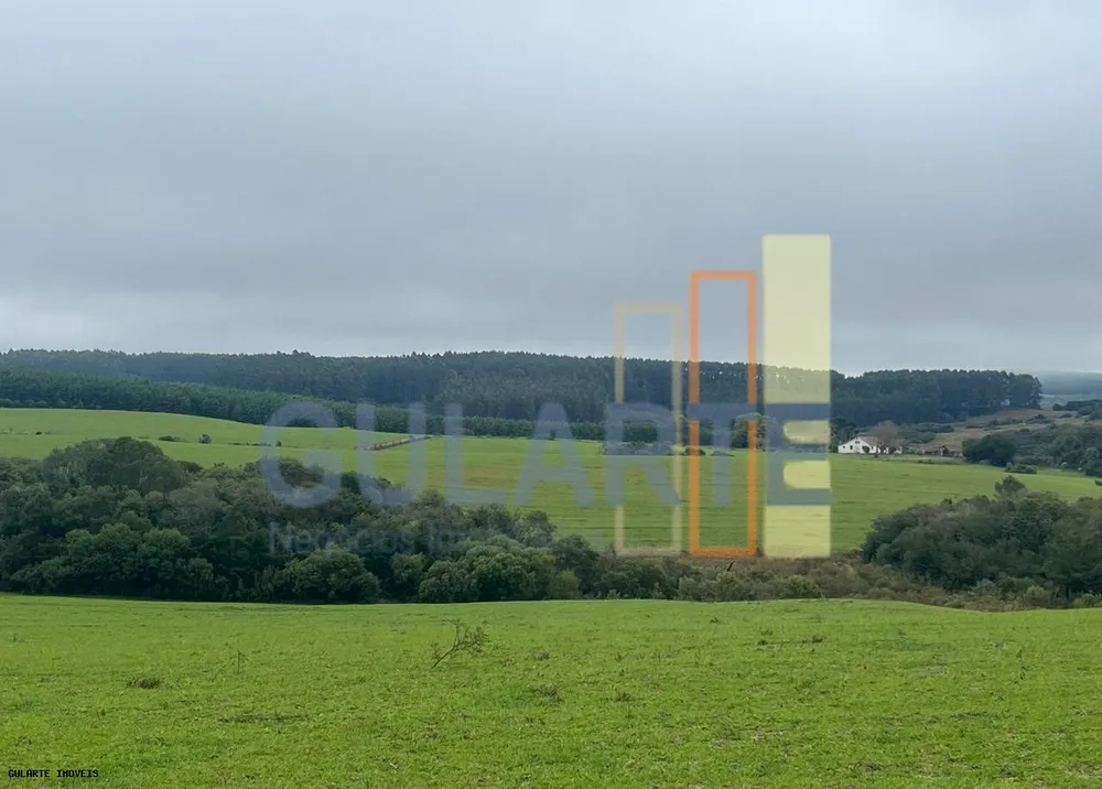 Fazenda, 910 hectares - Foto 3