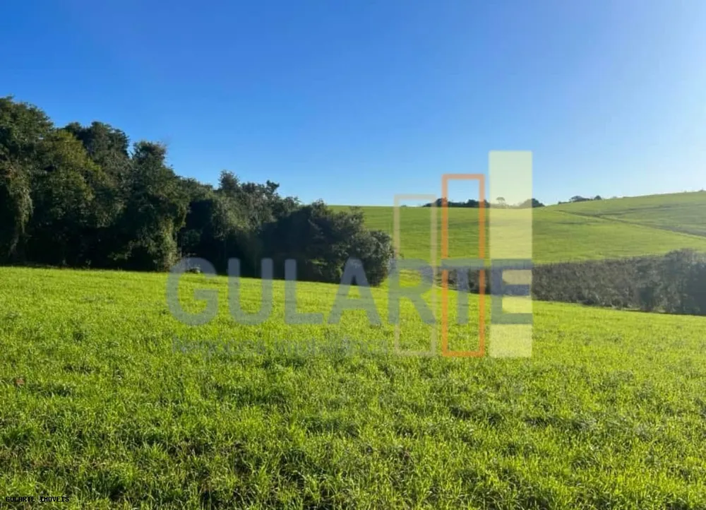Fazenda, 910 hectares - Foto 4