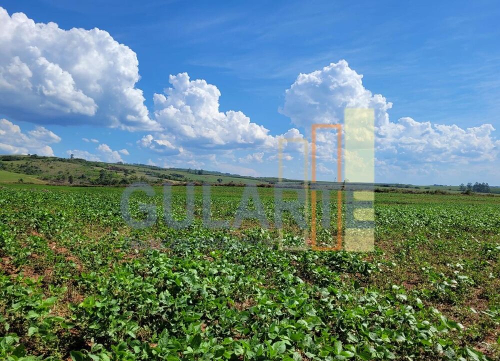 Fazenda-Sítio-Chácara, 268 hectares - Foto 2