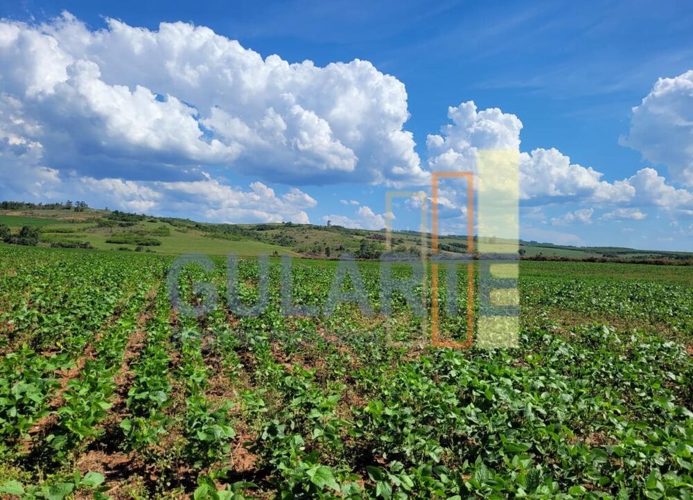 Fazenda-Sítio-Chácara, 268 hectares - Foto 3