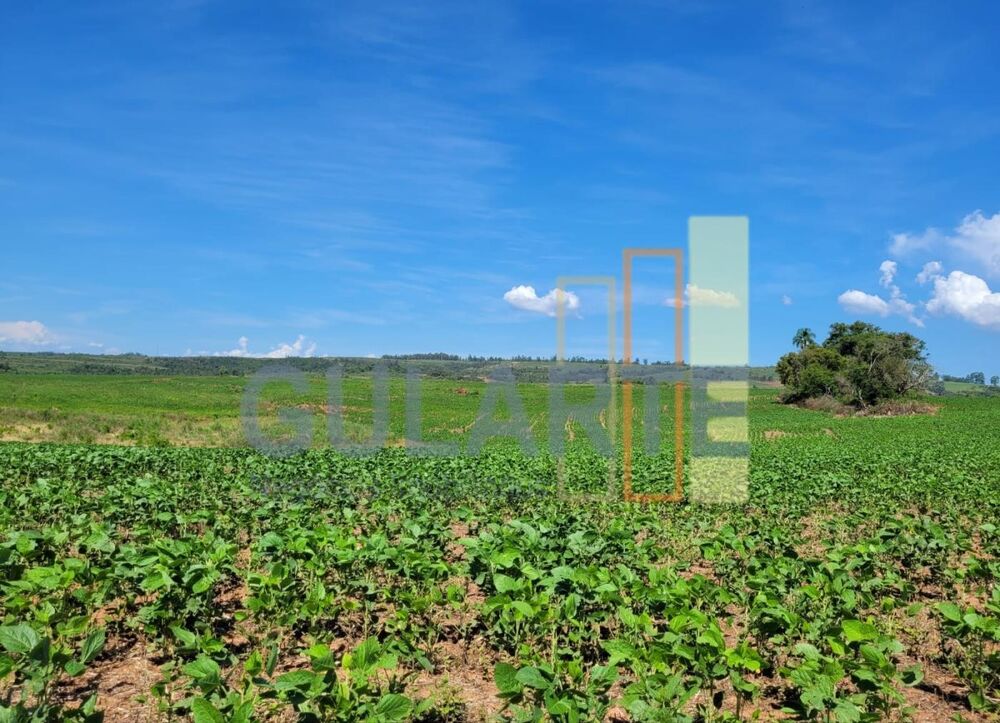 Fazenda-Sítio-Chácara, 268 hectares - Foto 4
