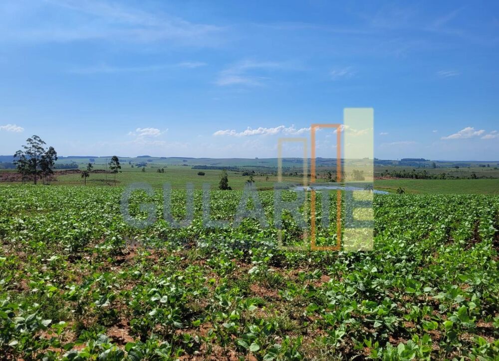 Fazenda-Sítio-Chácara, 268 hectares - Foto 1