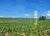Fazenda, 268 hectares - Foto 4