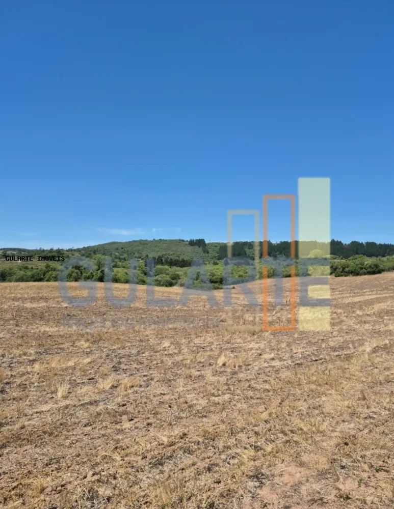 Fazenda, 375 hectares - Foto 8