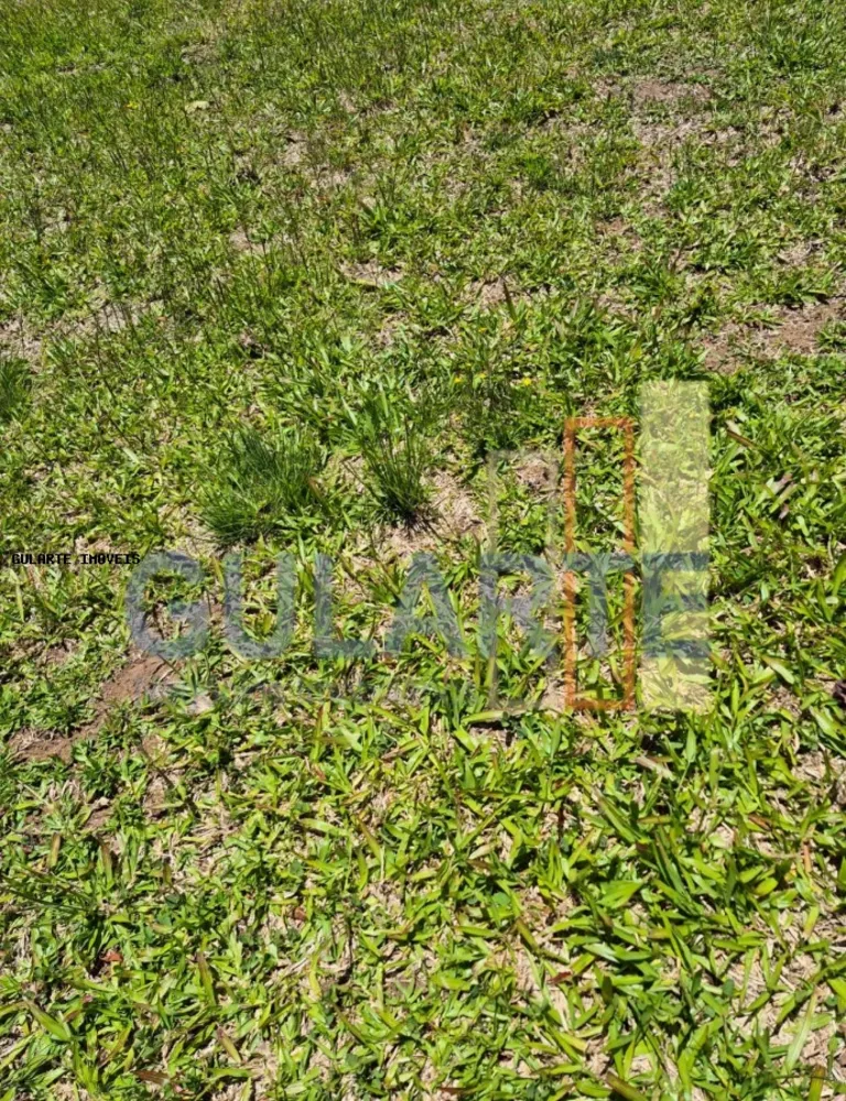 Fazenda, 375 hectares - Foto 12