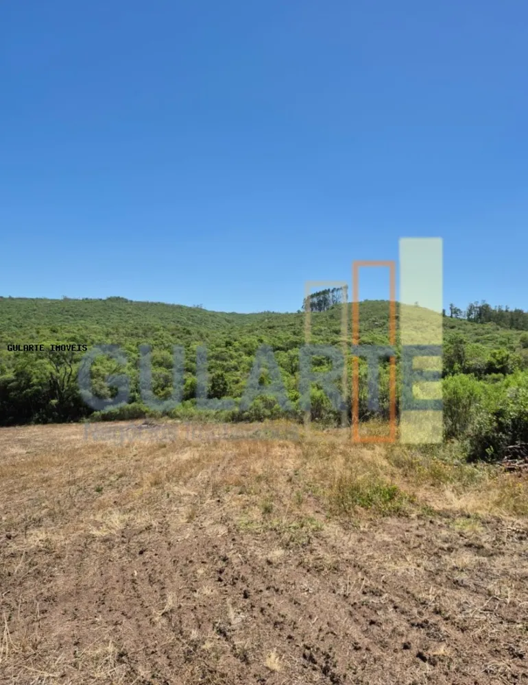 Fazenda, 375 hectares - Foto 7