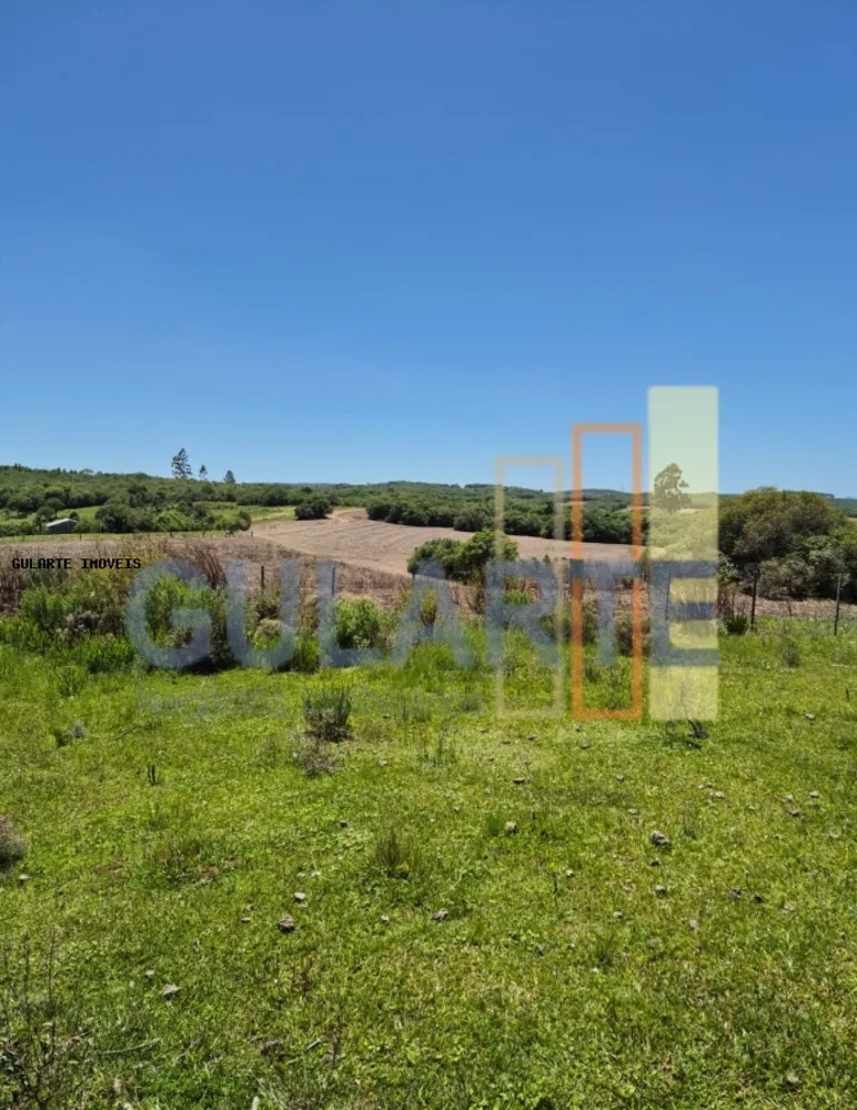Fazenda, 375 hectares - Foto 10