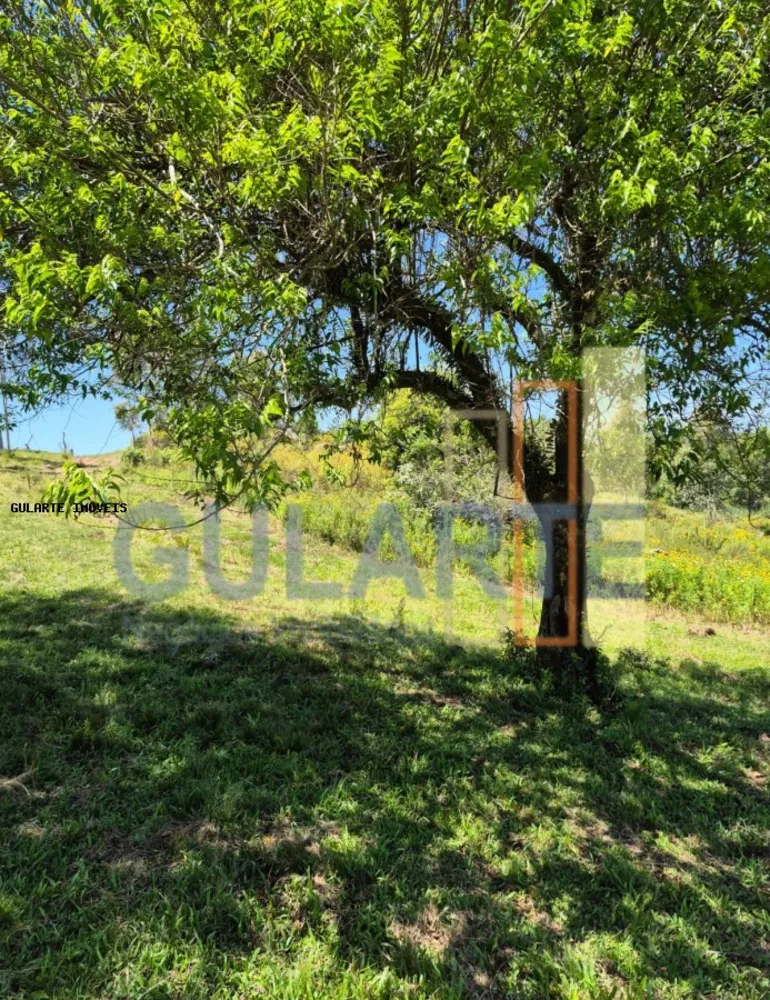 Fazenda, 375 hectares - Foto 5