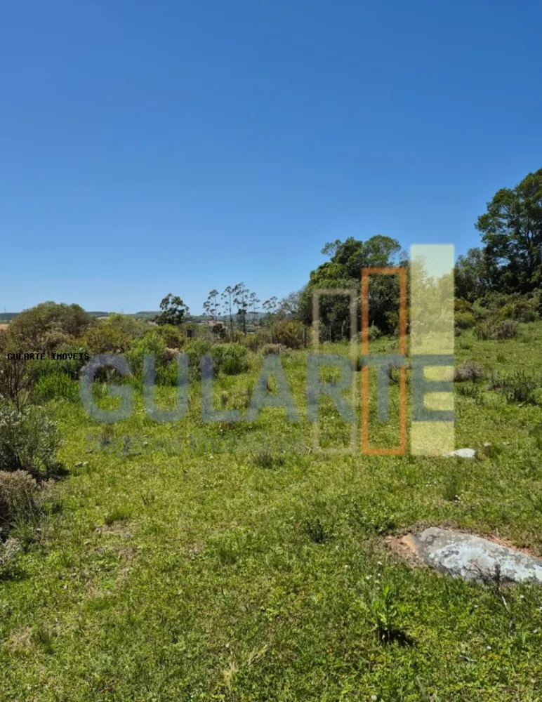 Fazenda, 375 hectares - Foto 9