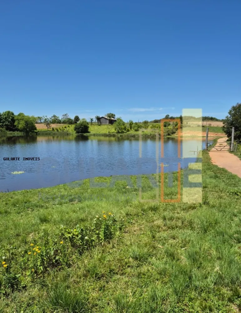 Fazenda, 375 hectares - Foto 4