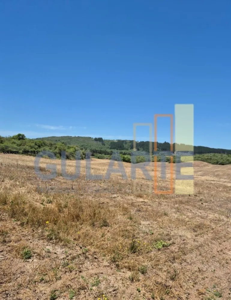 Fazenda, 375 hectares - Foto 6