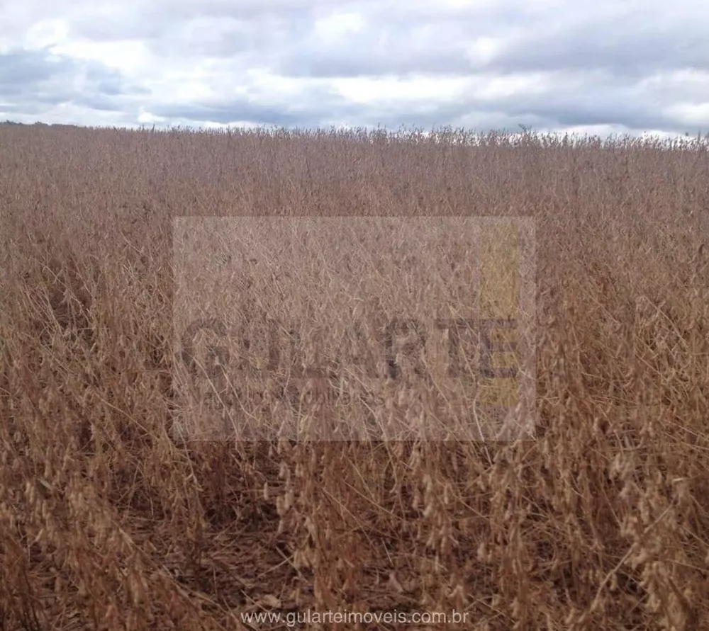 Fazenda, 600 hectares - Foto 6