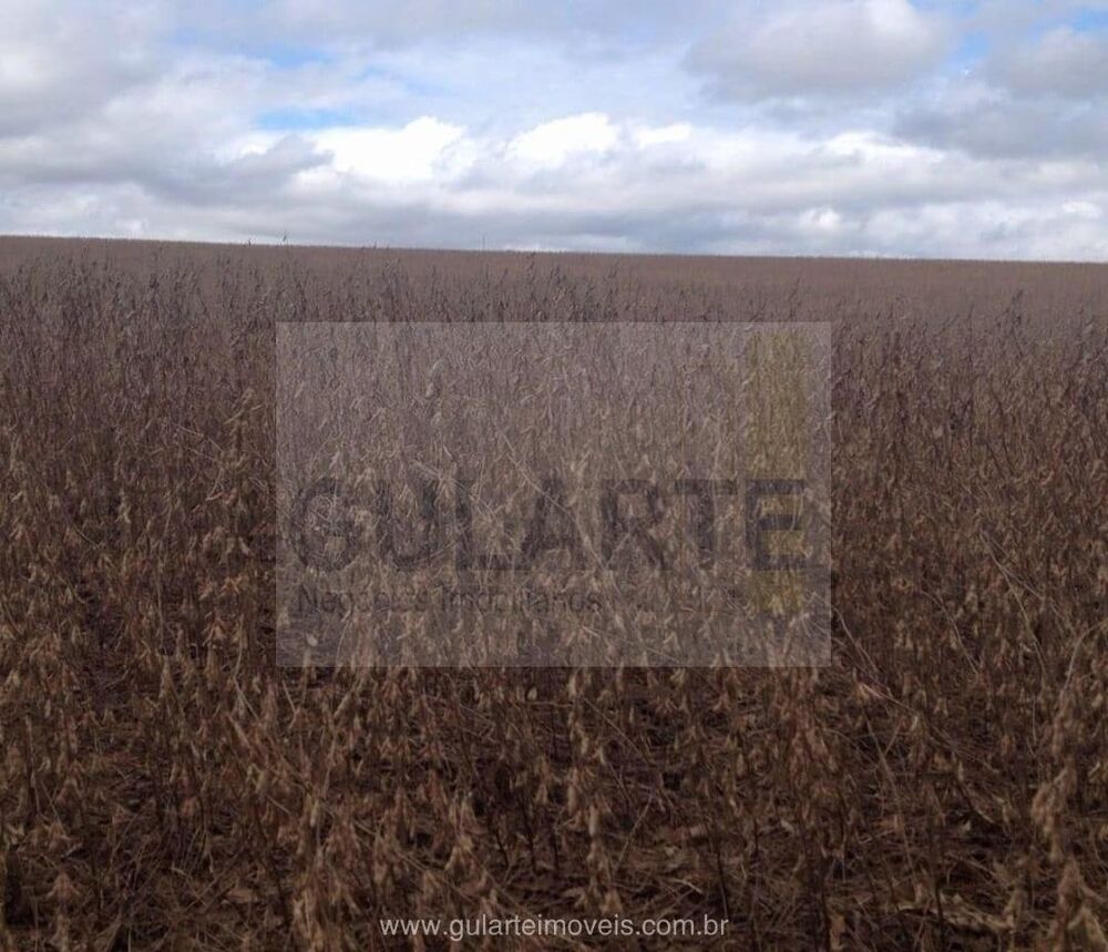 Fazenda, 600 hectares - Foto 7