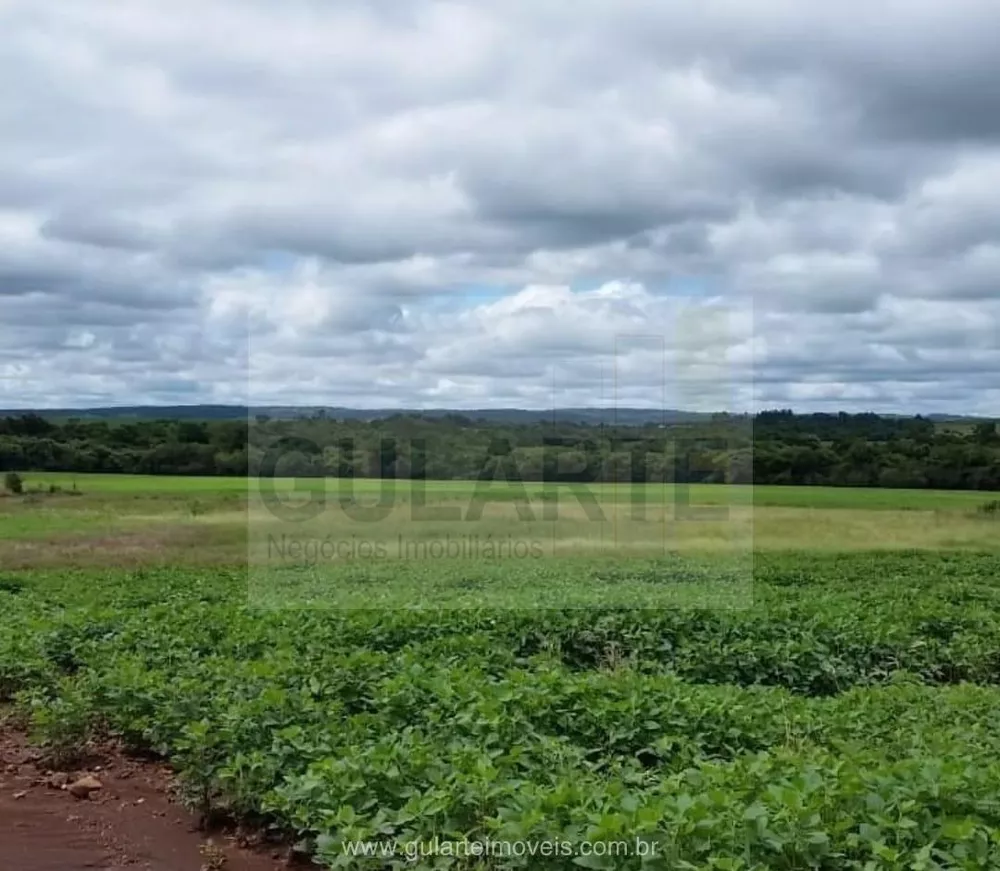Fazenda, 600 hectares - Foto 3